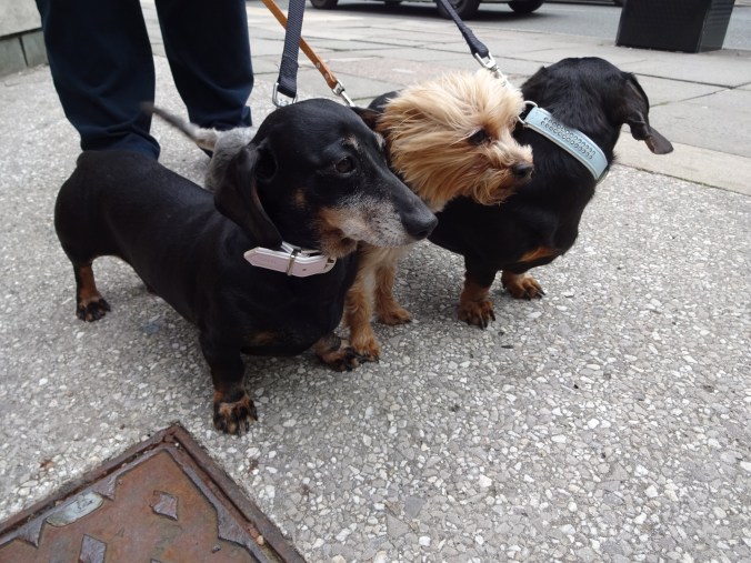 Almost great picture!