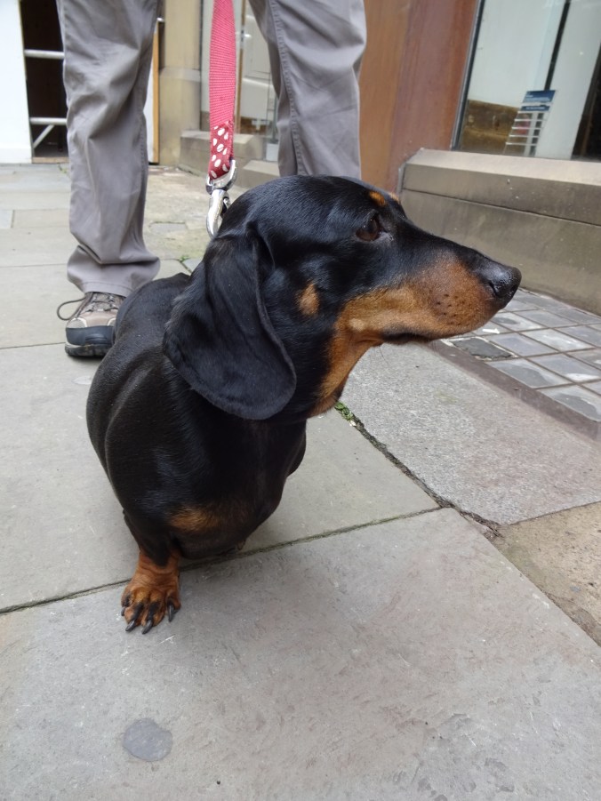 Lovely Chilli Pepper