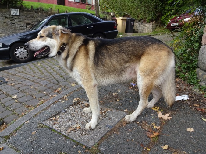 I hope you can get a sense of scale from this picture! 